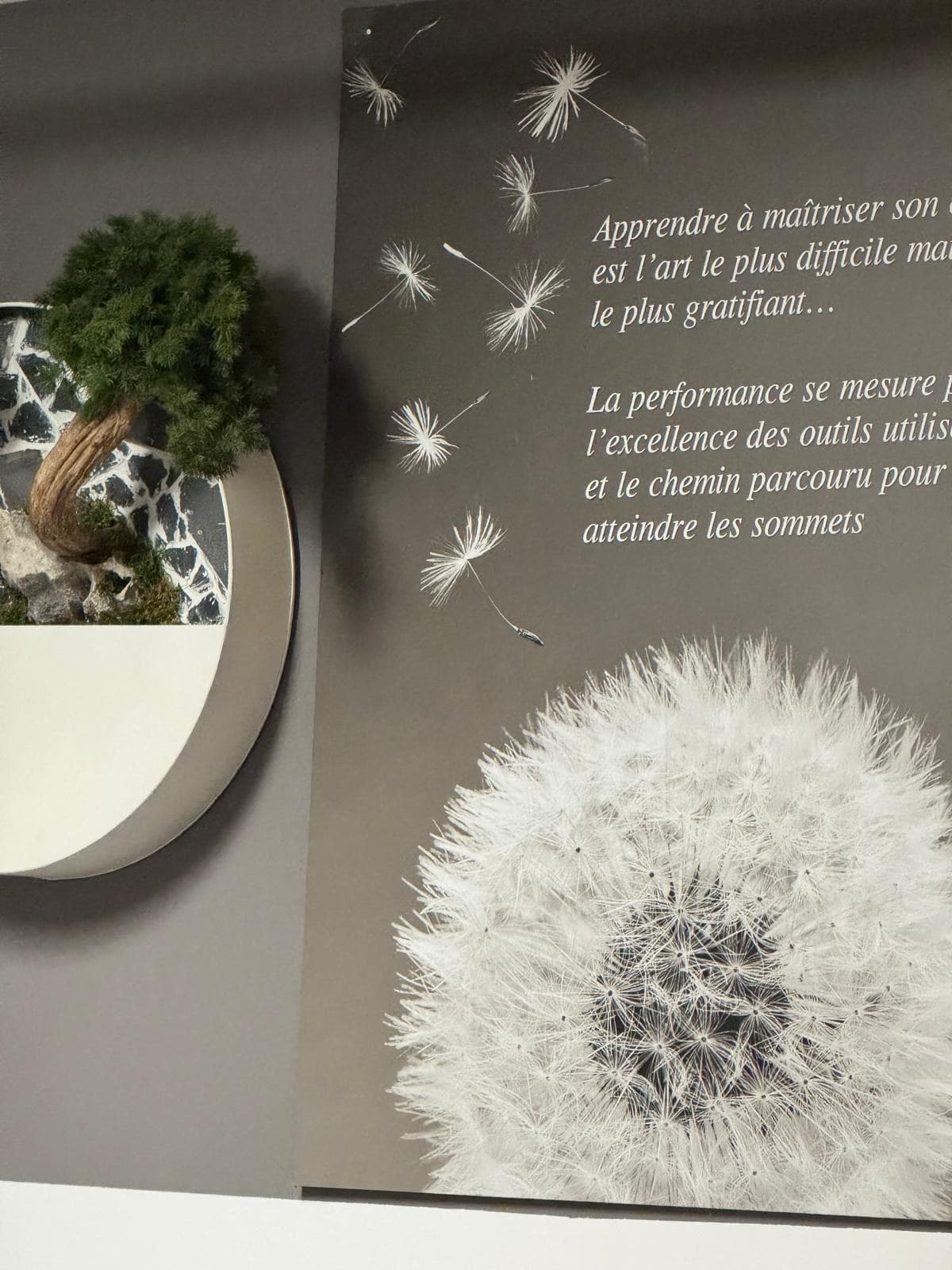 Le mur décoré d’un pissenlit